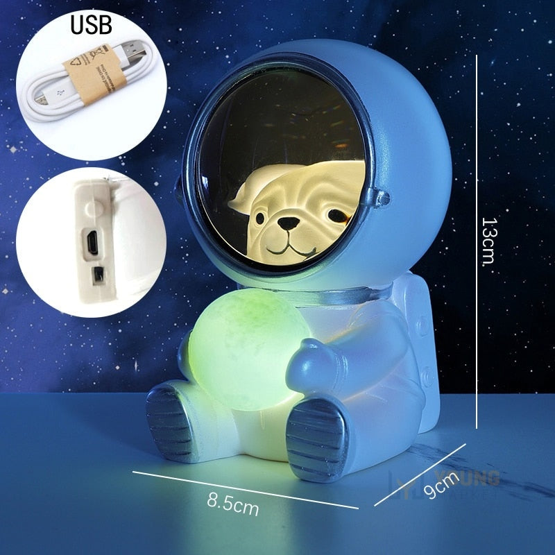Luminária Pet Astronauta de Led Recarregável Usb